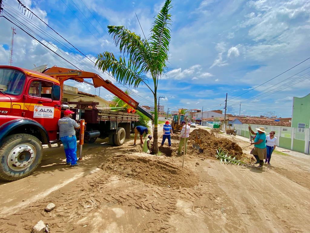 Prefeitura iniciou obras de revitalização da av. Olívio Maroja com etapa de arborização